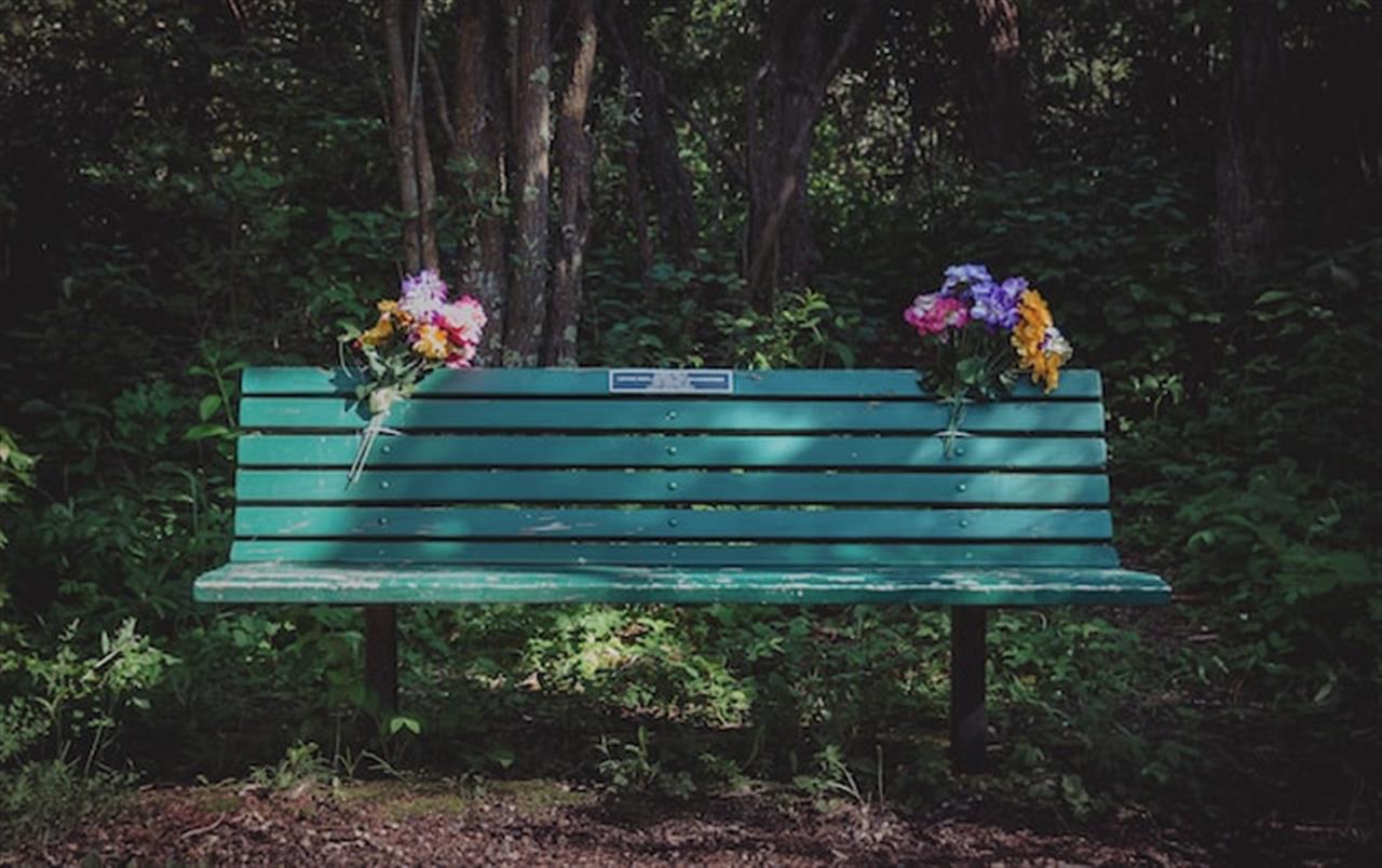 En bænk – mere end bare et sæde